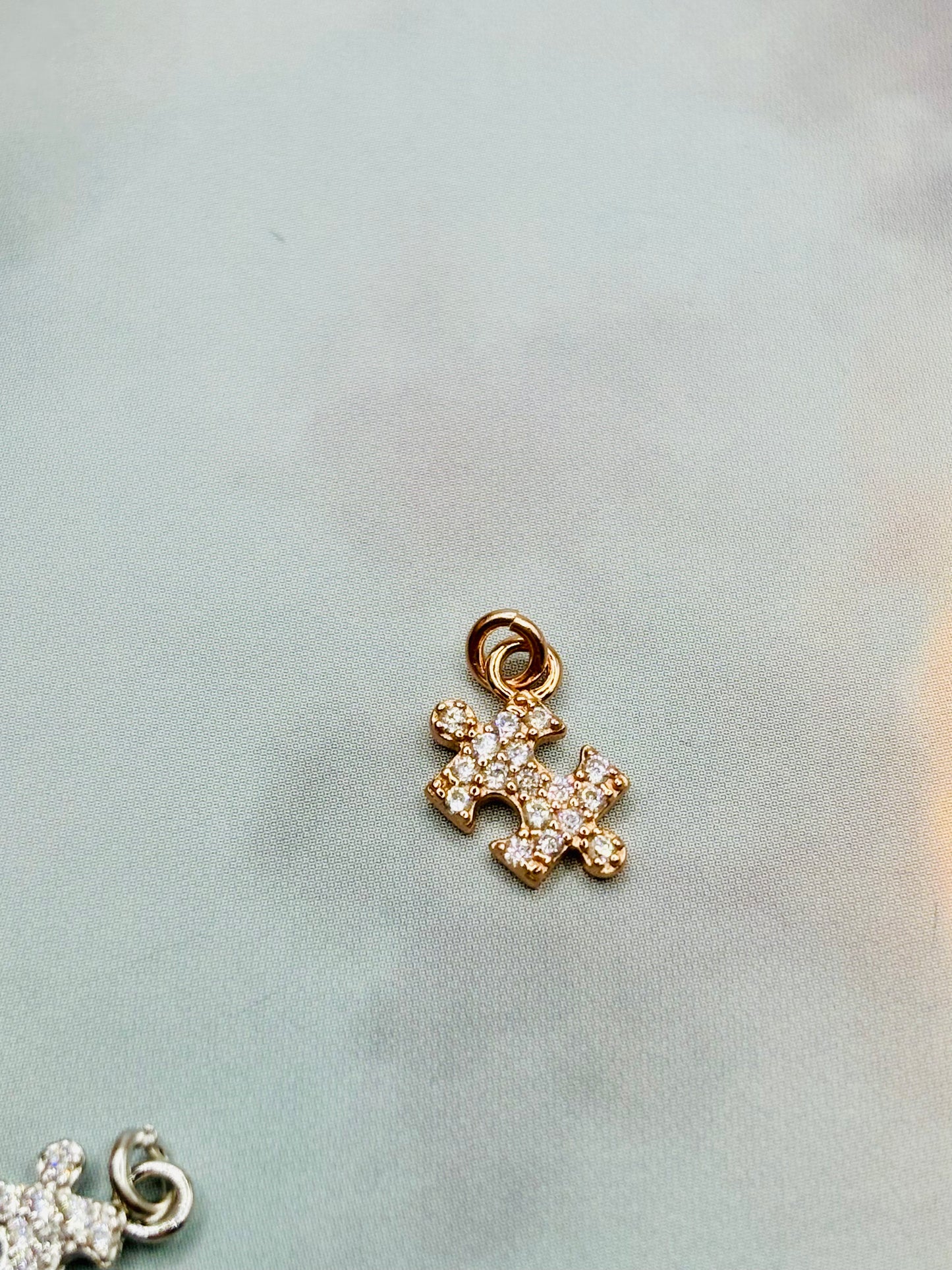 Charms Puzzle Pizzico