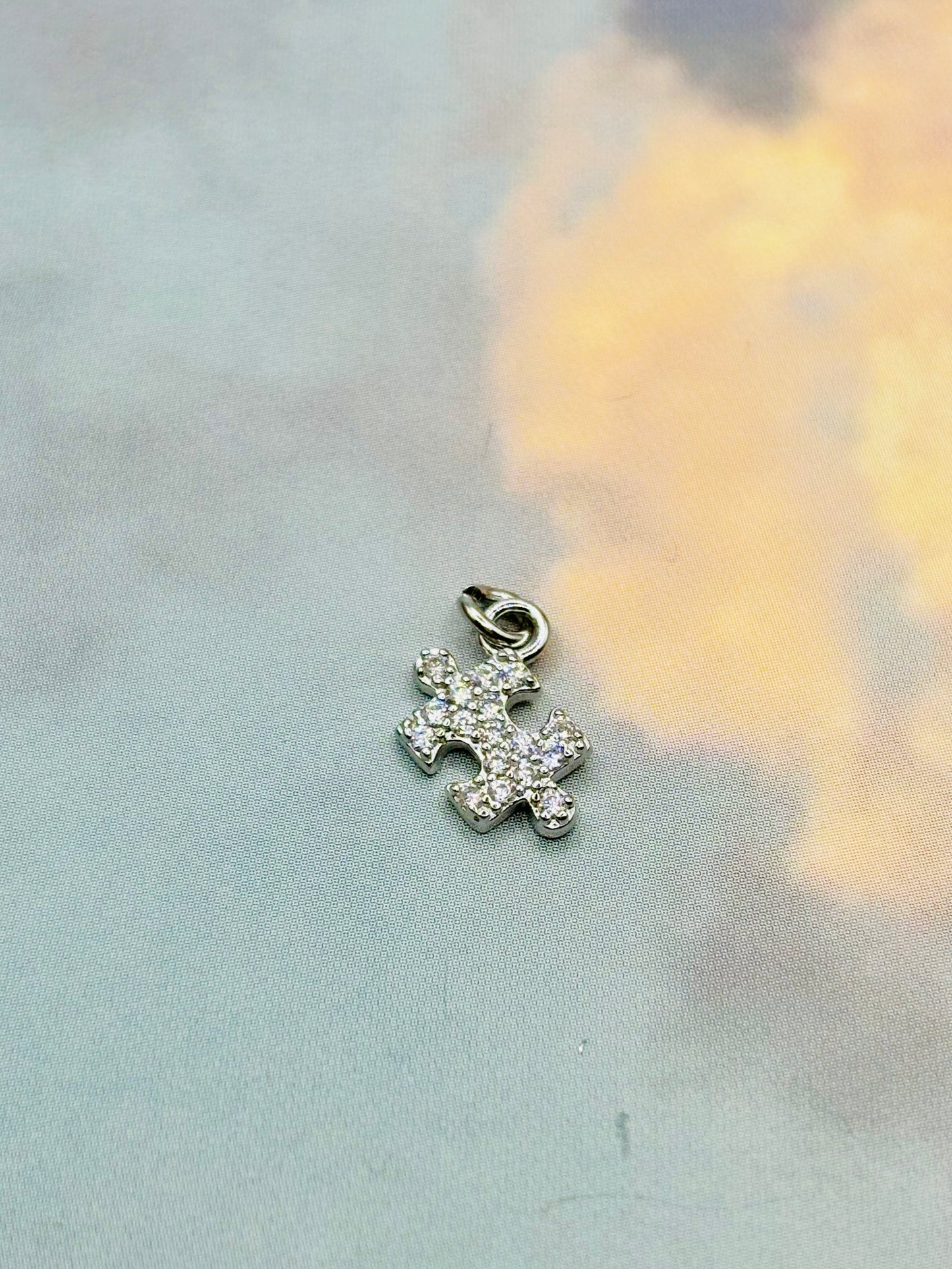 Charms Puzzle Pizzico