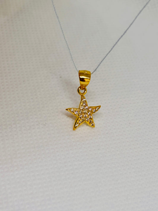 Ciondolo Stella marina   Pizzico