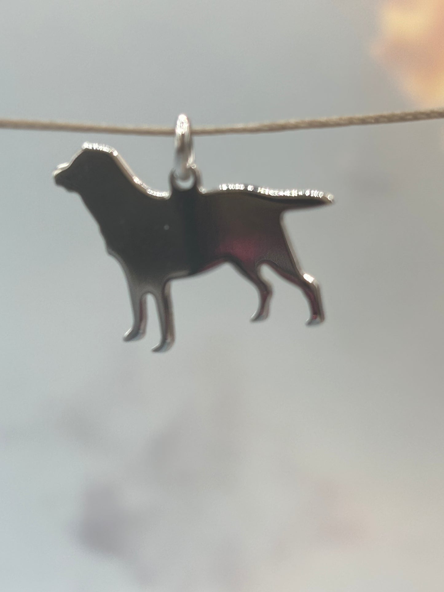Ciondolo Dog Pizzico